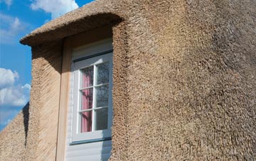 Sandfordhill thatch roof disadvantages